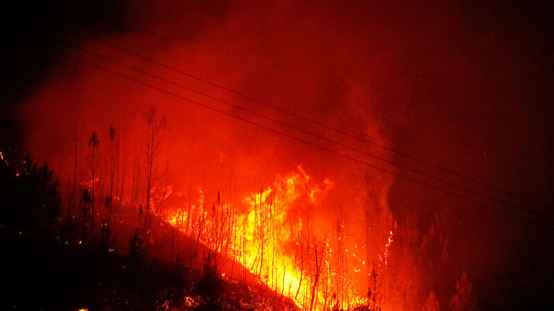 ポルトガル史上最大級の山火事 の背景には 熱波 落雷 ユーカリ 森さやか 個人 Yahoo ニュース ポルトガル史上最大級の山火事 の背景には 熱波 落雷 ユーカリ 森さやか 個人 Yahoo ニュース