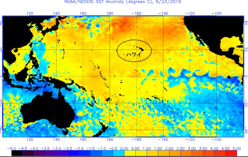 太平洋の海水温の平年差 (出典元: NOAA/NESDIS)