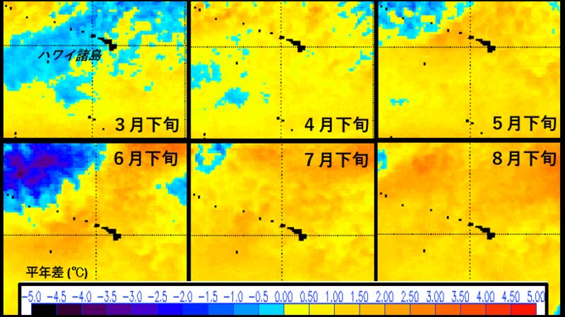 ハワイ観測史上もっとも暑い夏 背景に ブロブ その2 森さやか 個人 Yahoo ニュース ハワイ観測史上もっとも暑い夏 背景に ブロブ その2 森さやか 個人 Yahoo ニュース