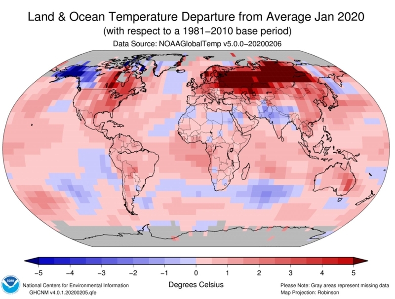 2020年1月の気温の平年偏差 (出典: NOAA)