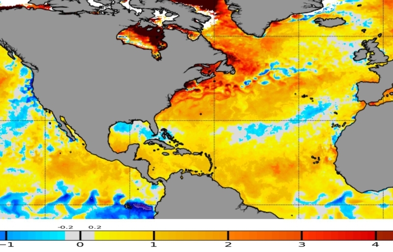 NOAA出典による大西洋における海水温の平年差 (筆者加筆)