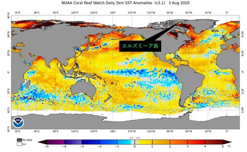 NOAA出典の8月の海水温偏差に筆者加筆