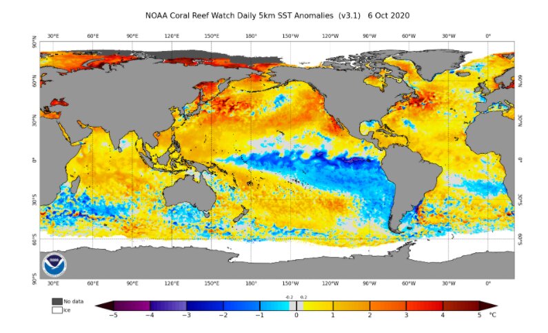 10月6日の海水温の平年差。太平洋東部の赤道海域で平年より水温が低い「ラニーニャ現象」が起きているのが分かる。(出典: NOAA)