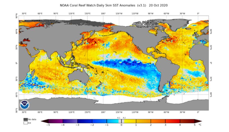 海水温の平年差。太平洋東部では例年よりも海水温が低い「ラニーニャ」現象が起きている一方、東部は高くなっている。(出典: NOAA)