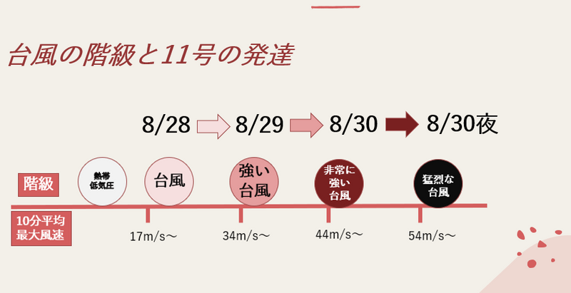 うのにもお得な じじこ様専用【shoppingcart】台風のいろいろ