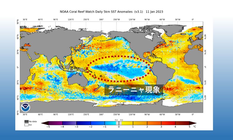 11日の海水温の平年差 (NOAA出典/筆者加筆)