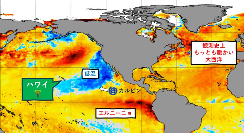 NOAA出典の13日における世界の海水温の平年差。筆者加筆。