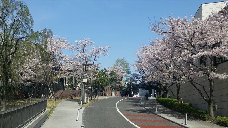 花散らしは 下品な言葉か 森田正光 個人 Yahoo ニュース