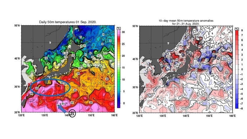 左：水深50mの海水温（9月1日）　右：同平年差（8月下旬）　気象庁提供（筆者加工）