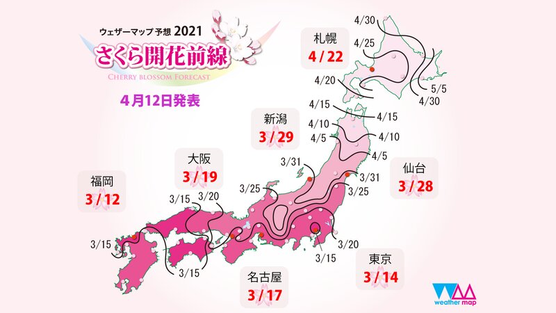 サクラ開花前線　北海道の日付は予想日（ウェザーマップ発表）