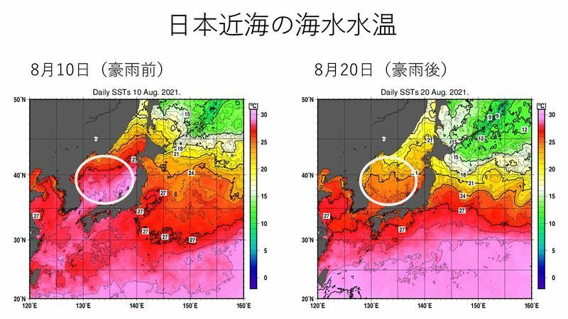 8月10日と20日の日本近海の海水温　出典：気象庁（スタッフ加工）