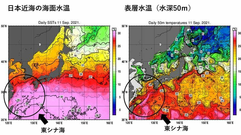 日本近海の海面水温と水深50メートルの海水温（出典：気象庁　スタッフ加工）