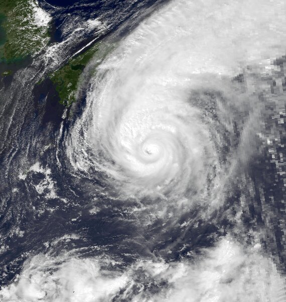 1995年台風12号の衛星画像（出典　国立海洋大気管理局、NCDC）