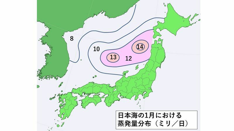 日本海の1月における蒸発量分布図（参考資料　日本海海面からの蒸発量について　をもとにスタッフ作成）