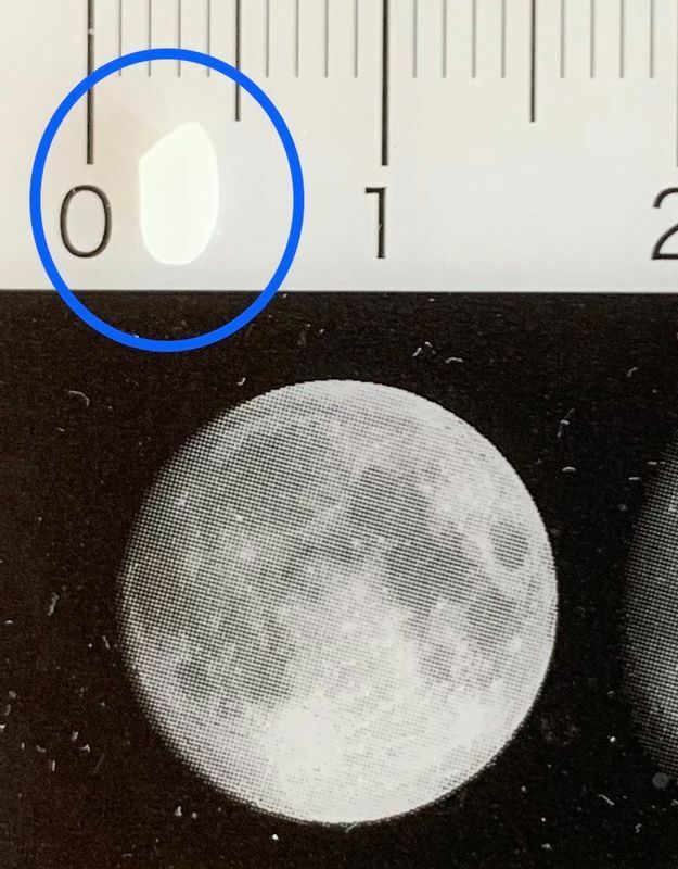 米粒の大きさと月の見た目の比較（筆者撮影）