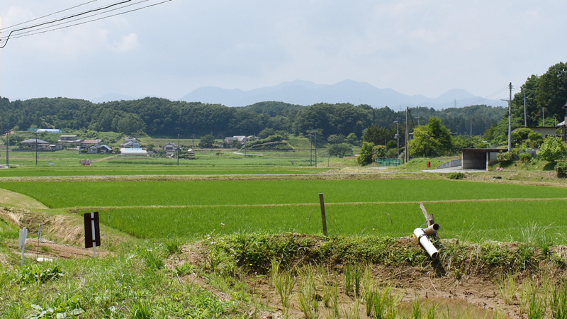 須賀川市のいわせグリーン球場の周辺には「こしひかり」や「天のつぶ」を栽培する田園風景が広がる（写真：ストライク・ゾーン）