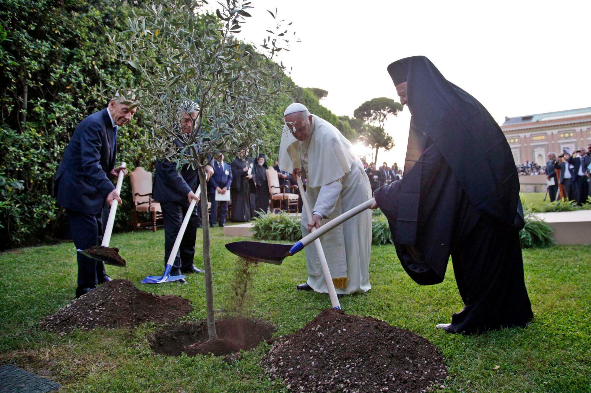 パレスチナ和平を祈念してオリーブをバチカンで植樹するフランシスコ法王とイスラエル、パレスチナ、東方正教会の代表者たち（2014.6.8）。オリーブは食品という枠を超えて一つの文化的シンボルでもある。
