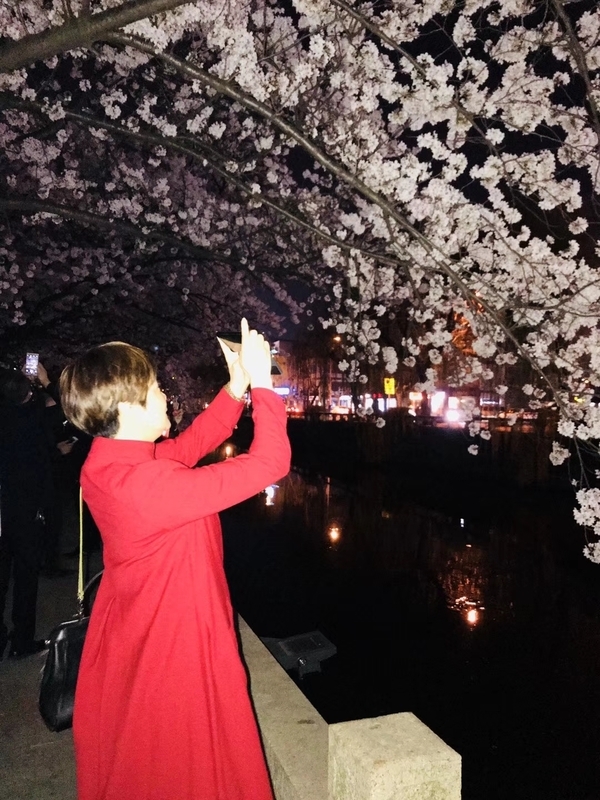 夜桜の写真を撮る中国人の友人（写真は友人提供）