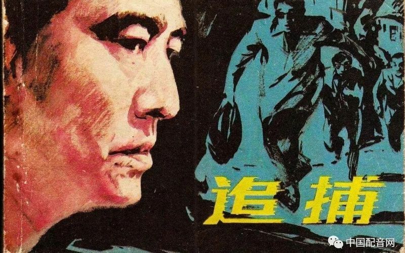 中国で有名な日本映画の中国語タイトル『追捕』（中国のサイト『中国配音網』より筆者引用）