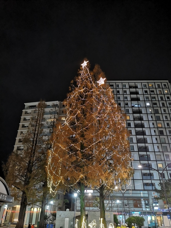 JR阿佐ヶ谷駅前のクリスマスツリー（画像・筆者撮影）