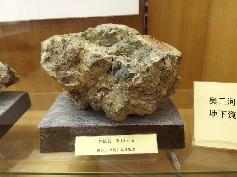 鳳来寺山自然科学博物館に展示されている金鉱石（撮影・筆者）