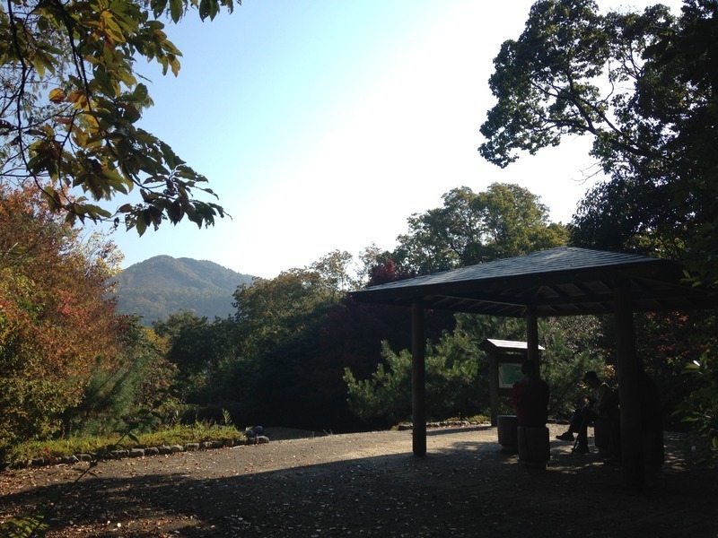 吉田山の山頂。奥に「大」が見える（筆者撮影）