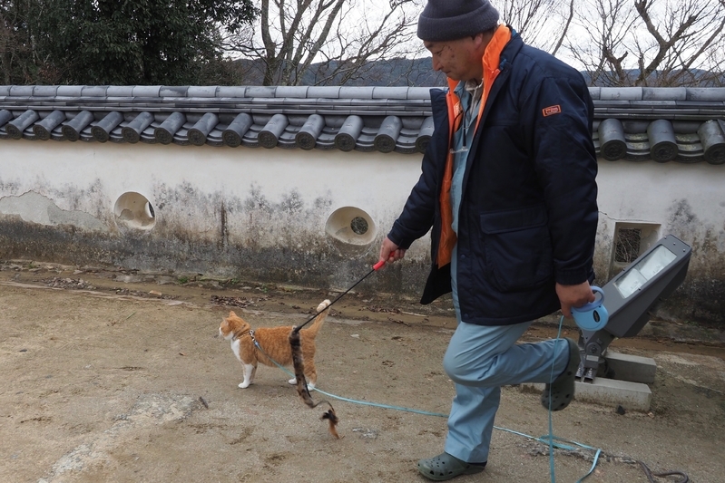 城の管理人の永井孝明さんと散歩。手にはねこじゃらしも（筆者撮影）