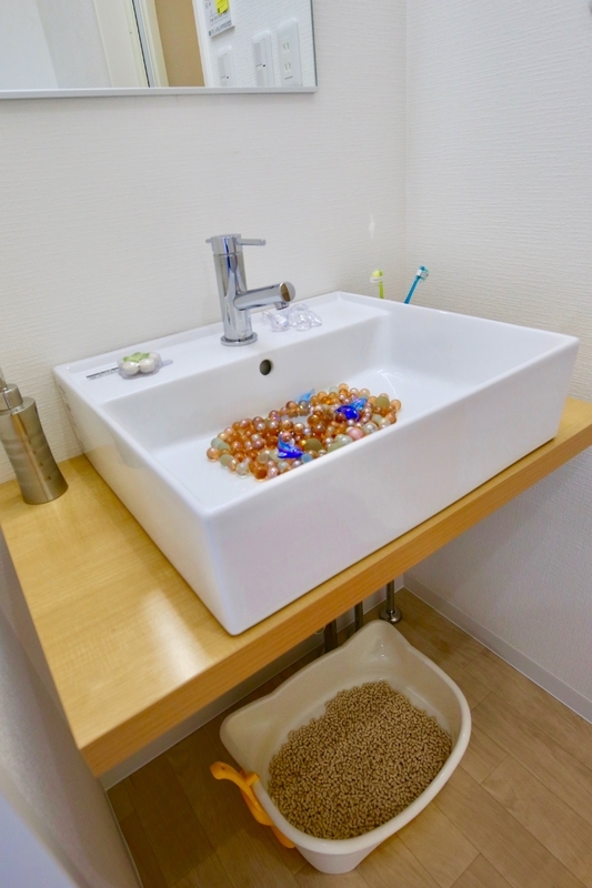 猫トイレが設置できるよう、あえてシンプルな洗面台を採用(筆者撮影)