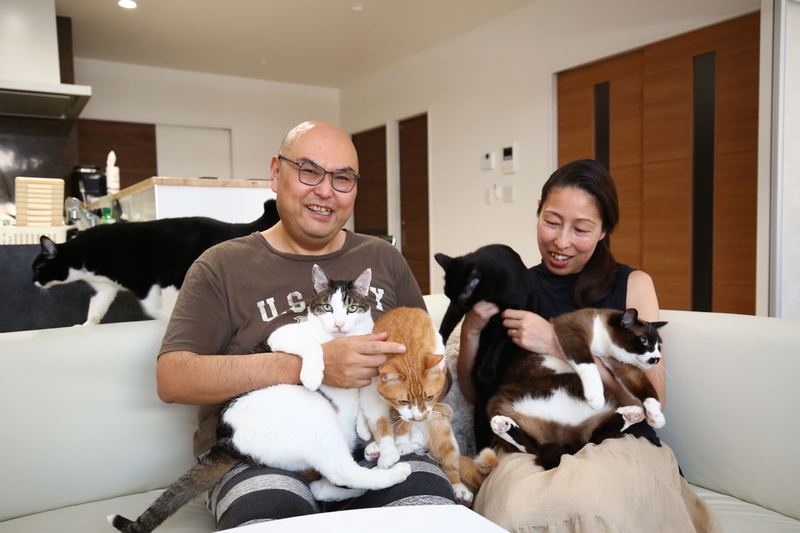 2人の縁を繋いでくれたのも保護猫たちだった(筆者撮影)