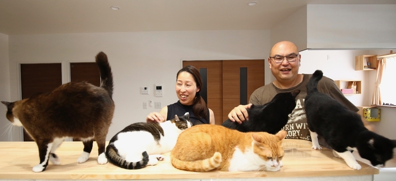 「これまで不思議とピンチになると助けてくれる人に出会ったり、思いがけないチャンスに恵まれたりしてきました。僕たちはそうした幸運を『猫の神様のおかげ』と呼んでいます(笑)」(将丈さん)(筆者撮影)