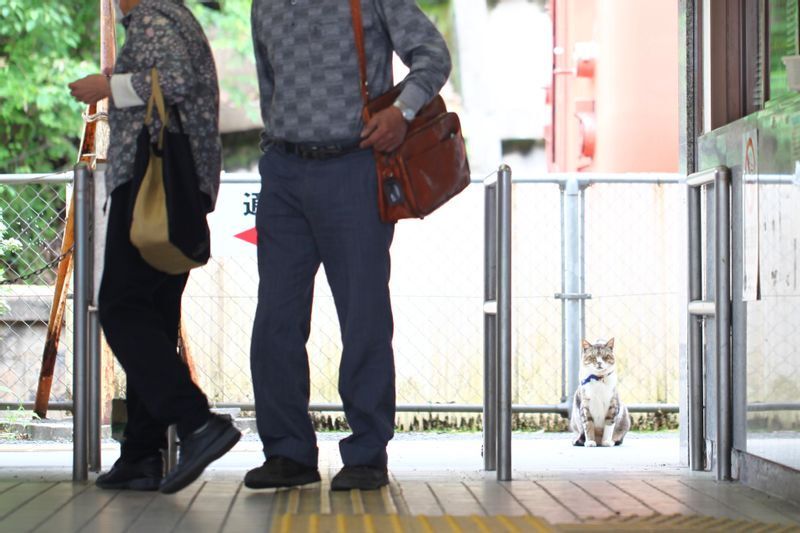 駅を利用する人たちを見守るりょうま(2016年5月)