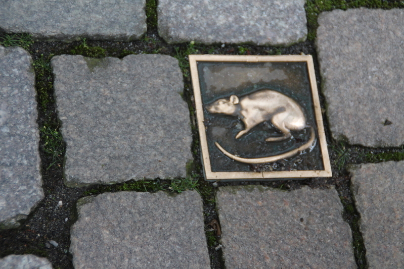 道路の随所に見られるネズミマークは、「ネズミ捕りの男の路」と名づけられた散策コースの目印。レストラン「ネズミ捕り男の家」仕掛け時計の「結婚式の家」など旧市街の要所巡りができます（筆者撮影）