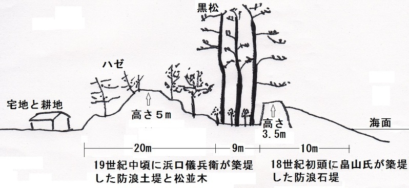 図2　広村堤防の概略図