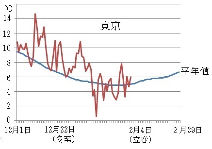 図１　東京の今年の日平均気温の推移と平年値