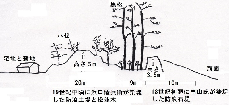 図２　広村堤防の概略
