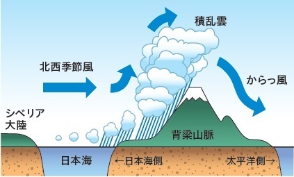 図2 日本海の雪の仕組み