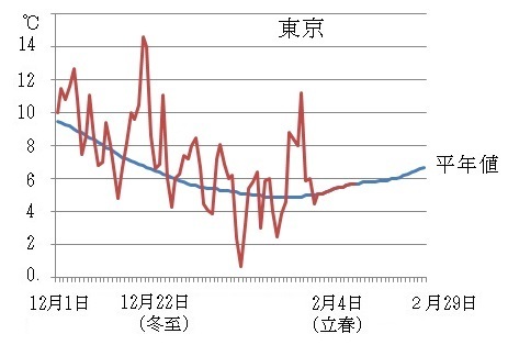 図２　東京の今冬の日々の平均気温