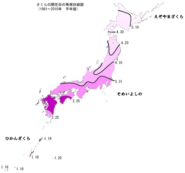 図　桜の開花の平年日（1981年～010年の平均、気象庁ホームページより）