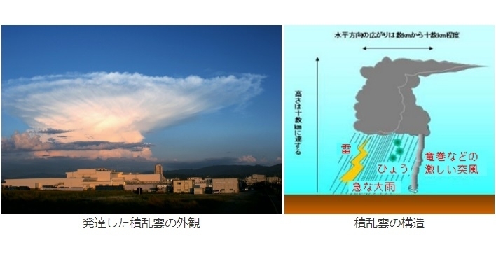図３　積乱雲ってどんな雲（気象庁ハームページより）