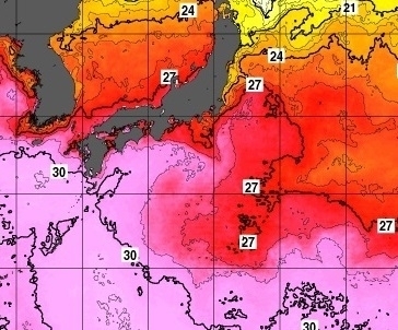 図２　日別海面水温（平成29年7月31日）