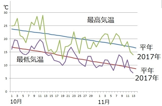 図4　平成29年10月以降の東京の最高気温と最低気温（11月7日以降は週間天気予報による）