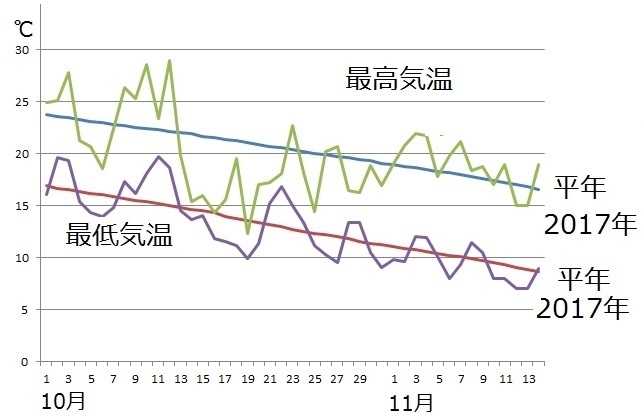 図3　東京の最高気温と最低気温の推移（11月10日以降は週間天気予報による）