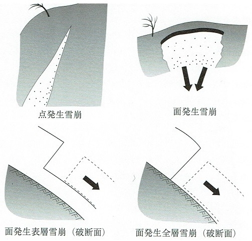 図1　雪崩の種類