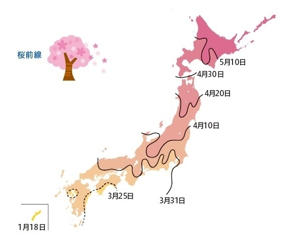 図1　桜の開花の平年値