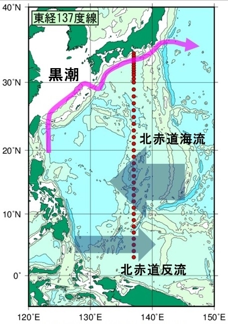 図1　東経137度線の海洋観測
