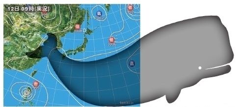 図1　鯨の尾型の天気図（平成25年8月12日9時）
