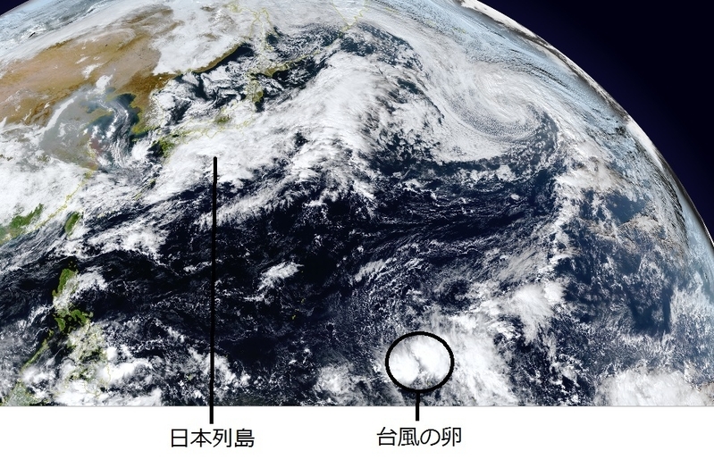 図１　気象衛星画像（11月13日12時）