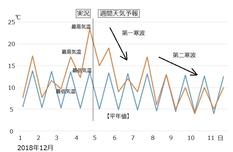 図3　東京の12月の気温（5日以降は週間天気予報）