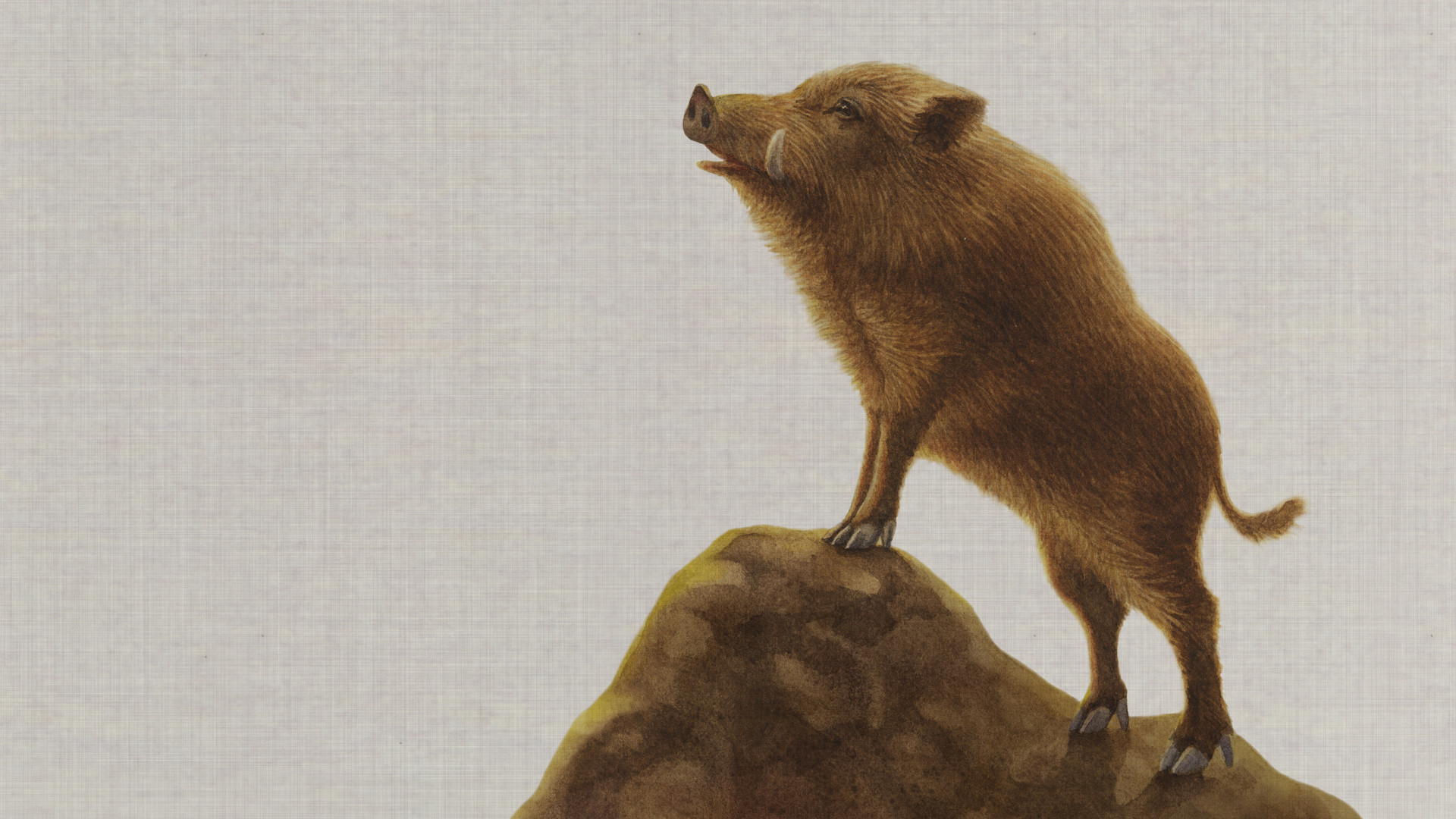 関東大震災や伊勢湾台風 阪神 淡路大震災が発生したイノシシ年 饒村曜 個人 Yahoo ニュース