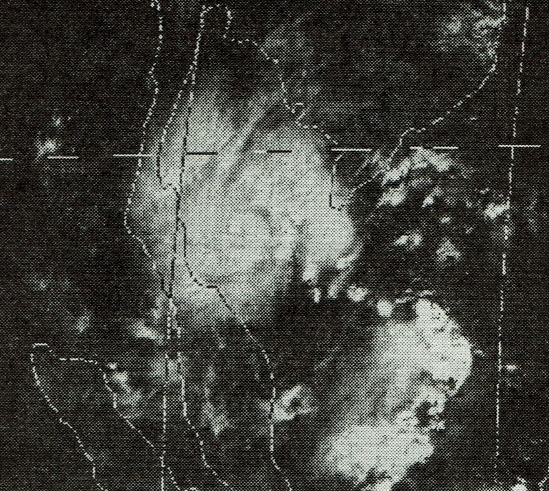 図3　気象衛星「ひまわり」から見た台風29号（11月3日15時）
